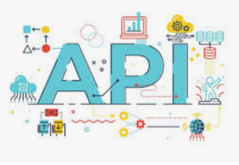 picture of api